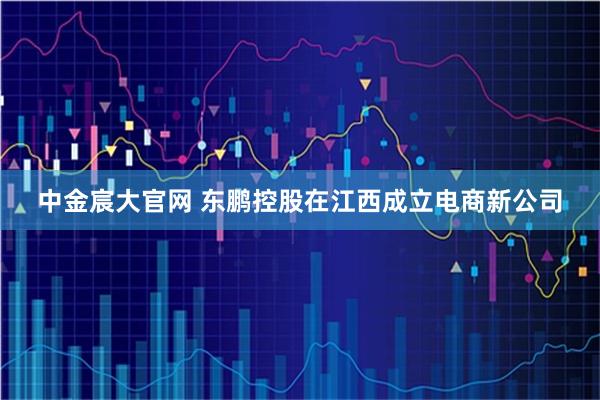 中金宸大官网 东鹏控股在江西成立电商新公司