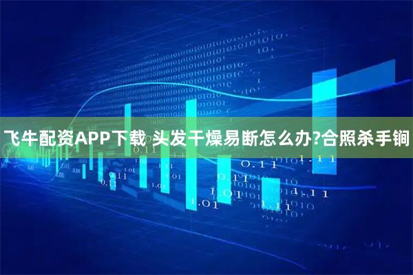 飞牛配资APP下载 头发干燥易断怎么办?合照杀手锏
