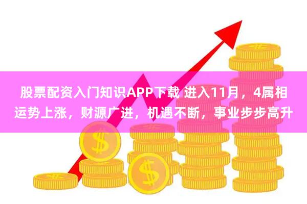 股票配资入门知识APP下载 进入11月，4属相运势上涨，财源广进，机遇不断，事业步步高升