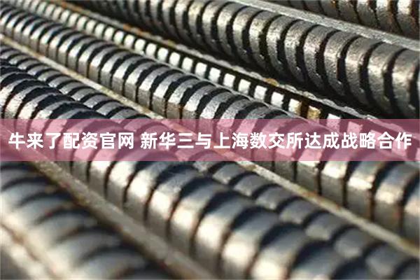 牛来了配资官网 新华三与上海数交所达成战略合作